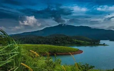 Ultimate Guide: Planning Your Wayanad Trip