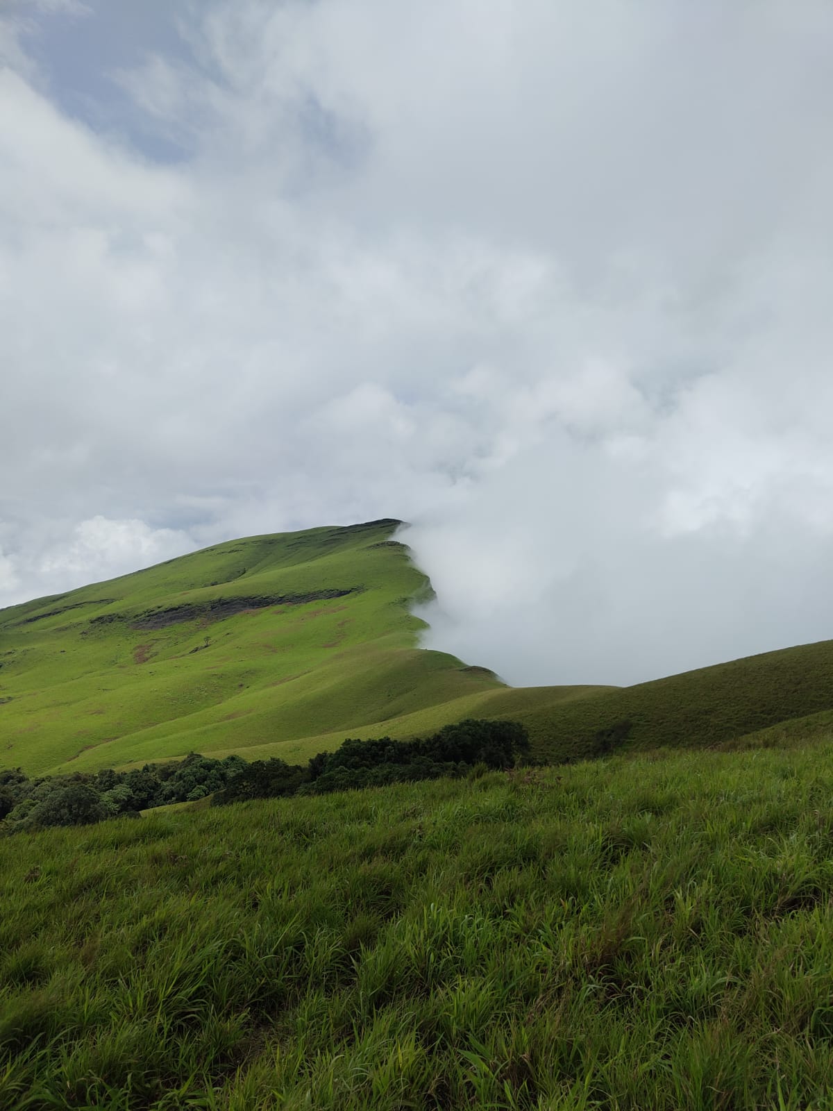 Netravathi Weekend Trek 