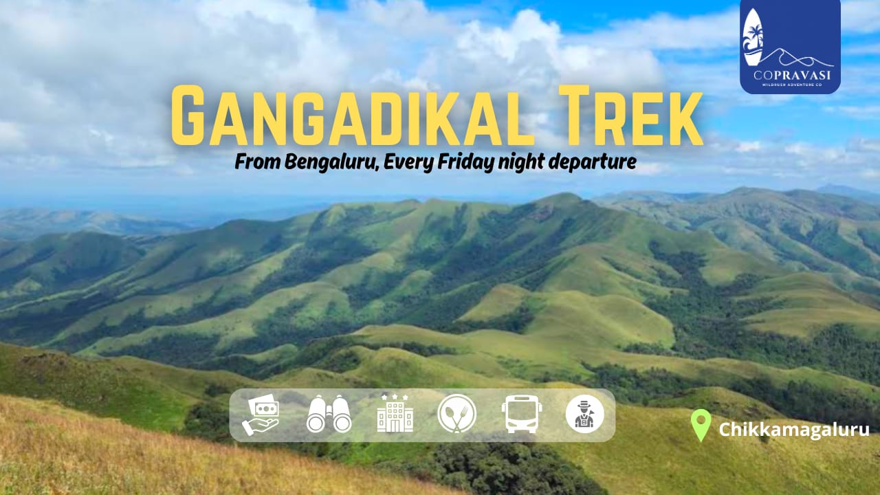 Gangadikal Trek from Bangalore | Weekend Trek to Offbeat Trek | Copravasi trek cover image