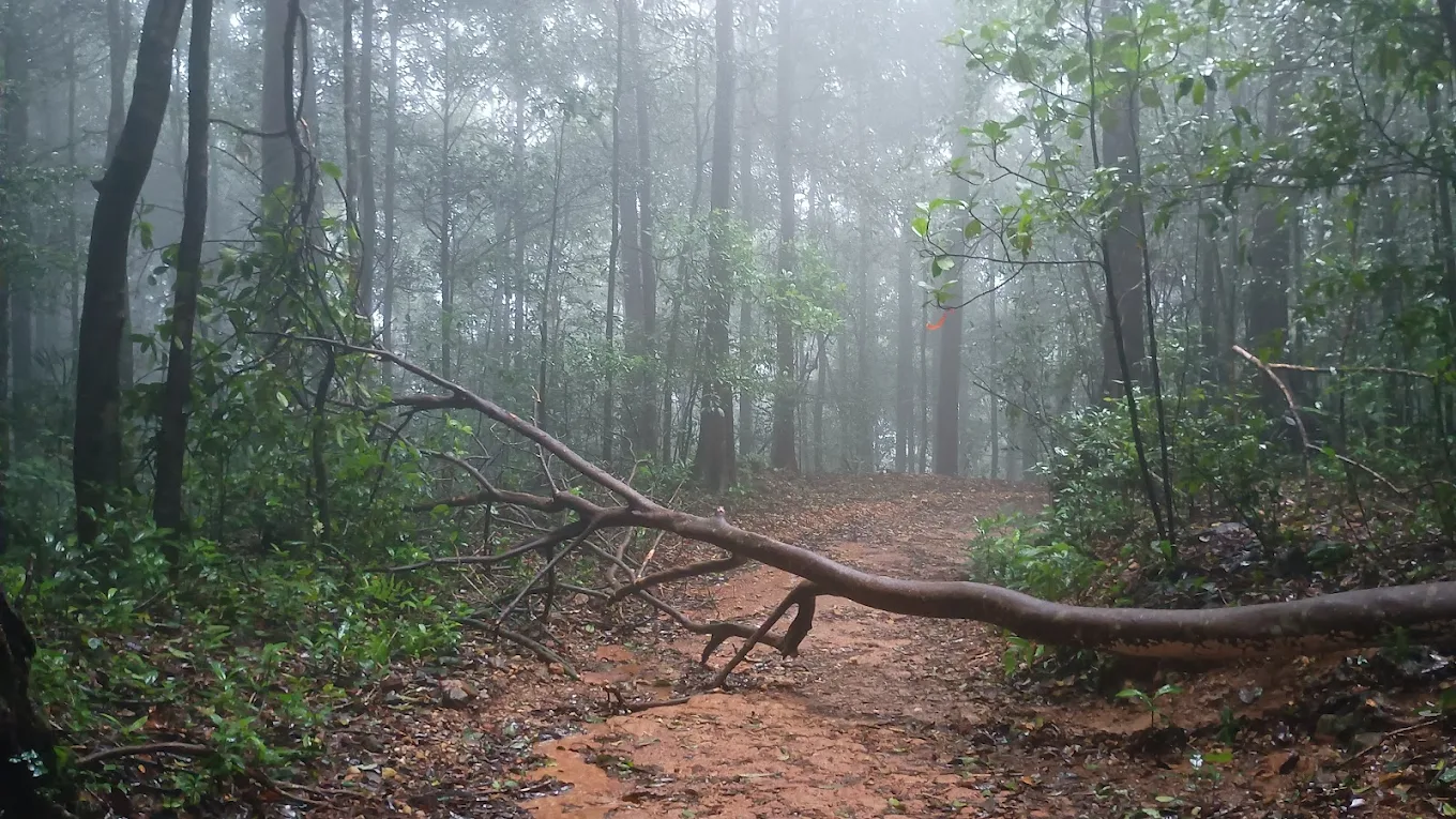 Kurinji Trek from Bangalore | Weekend Trek to Kurinjal Peak – Copravasi gallery photo 1