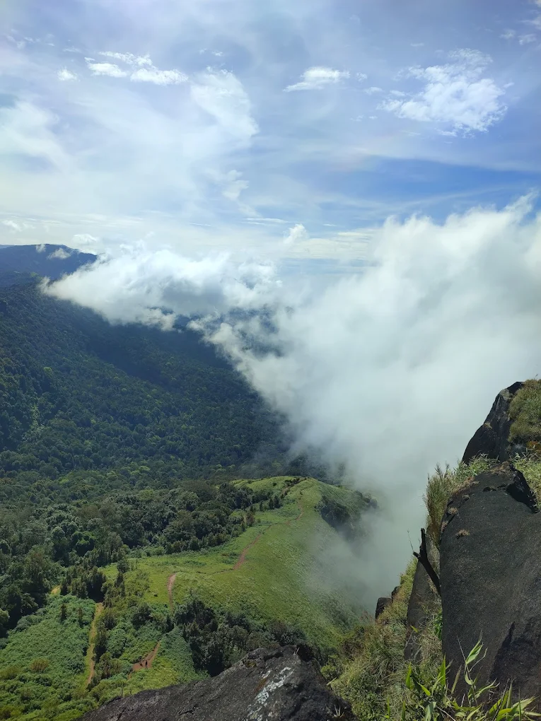 Kurinji Trek from Bangalore | Weekend Trek to Kurinjal Peak – Copravasi gallery photo 2