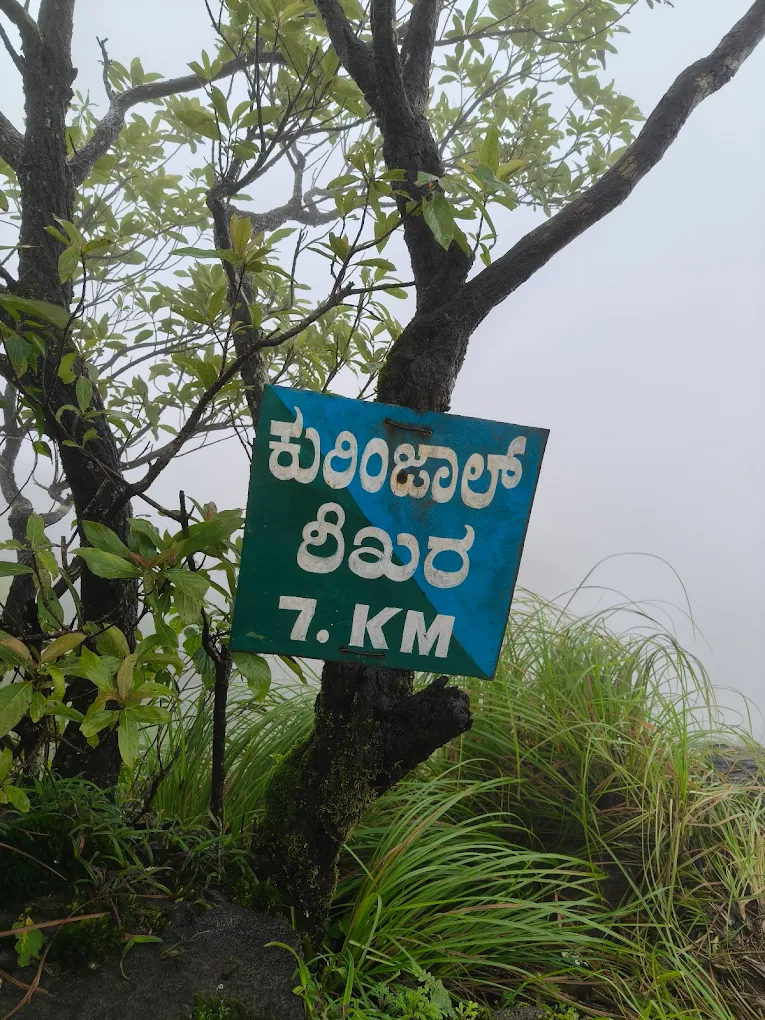 Kurinji Trek from Bangalore | Weekend Trek to Kurinjal Peak – Copravasi gallery photo 3